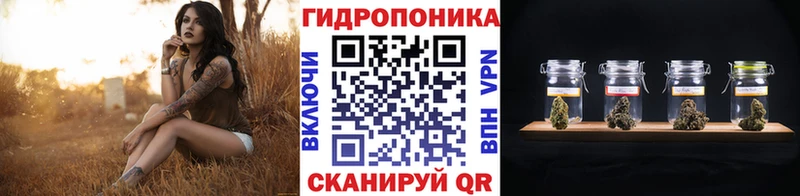 мориарти телеграм  Ливны  Бошки марихуана тримм 